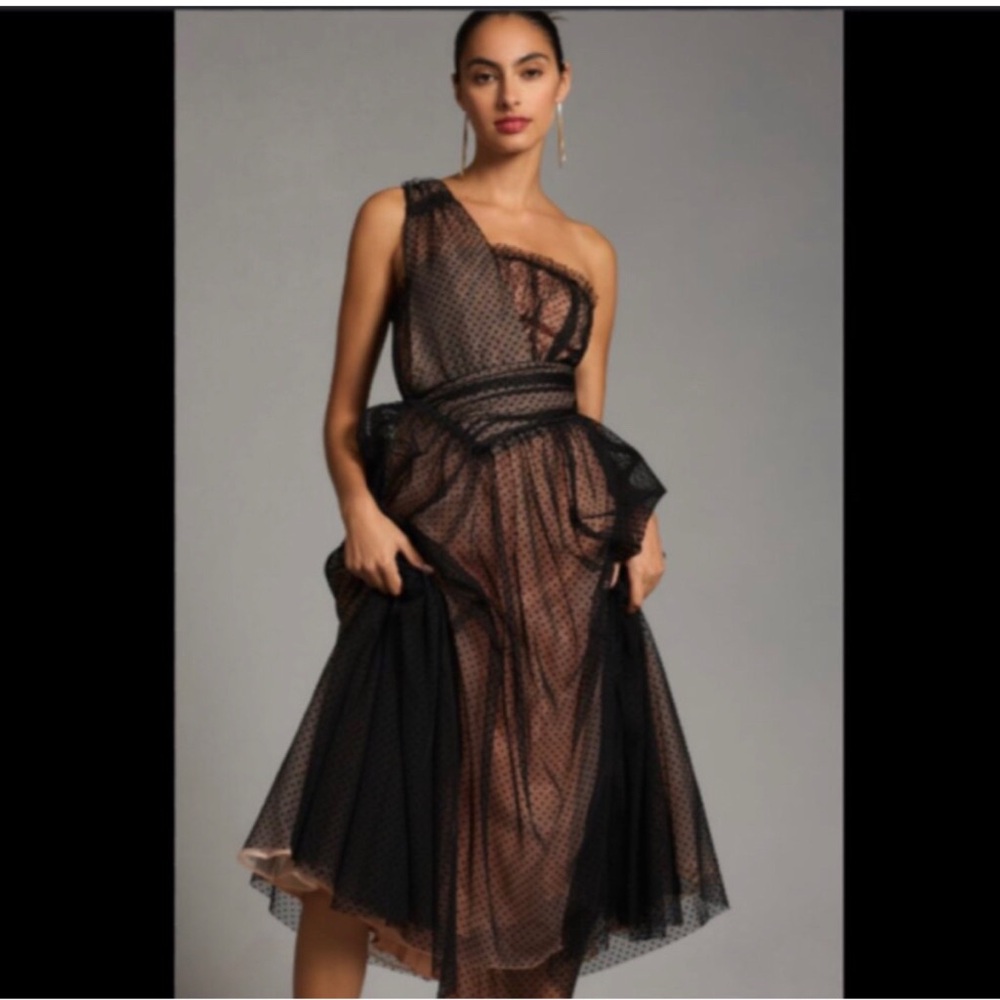 Anthropologie Tulle Dot Maxi Dress size 4